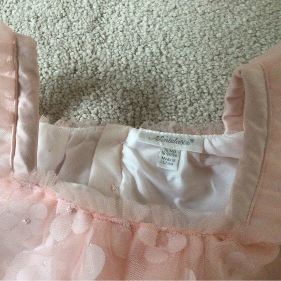 MINICLASIX STRAP TULLE DRESS/ LEGGING PANT WITH FLOWER APPLIQUÉS- SIZE 12 MONTHS - Picture 5 of 12